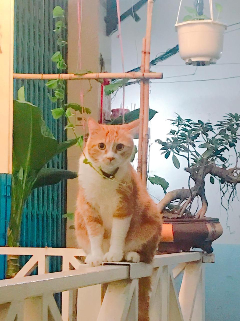 Qcub1 Homestay Хошимин Екстериор снимка